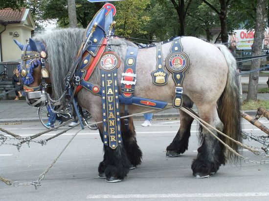 Fahrgeschäft Oktoberfest München