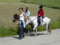 Ferien auf dem Bauernhof