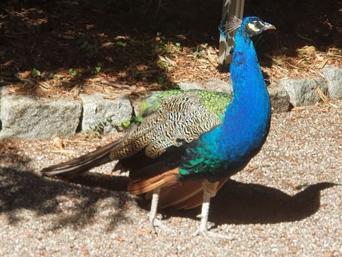 Vogelpark Olching Vogelpark Olching