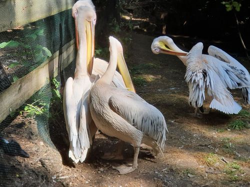Vogelpark Olching Vogelpark Olching