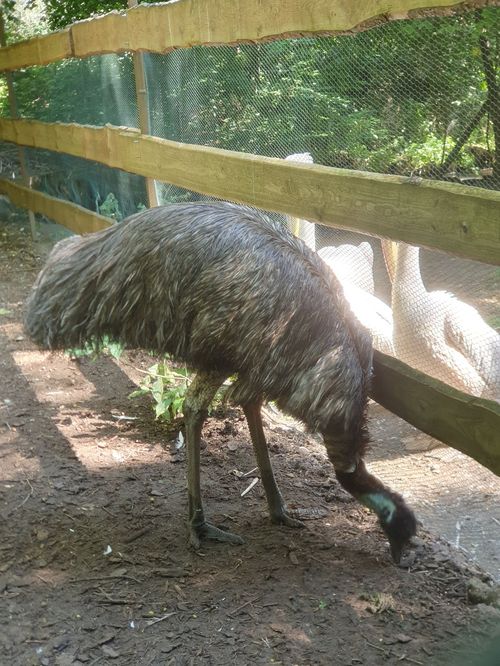 Vogelpark Olching Vogelpark Olching