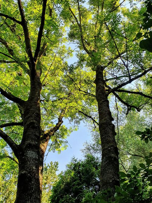 Vogelpark Olching