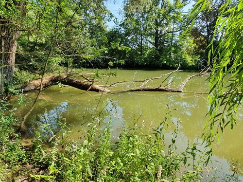 Vogelpark Olching Vogelpark Olching