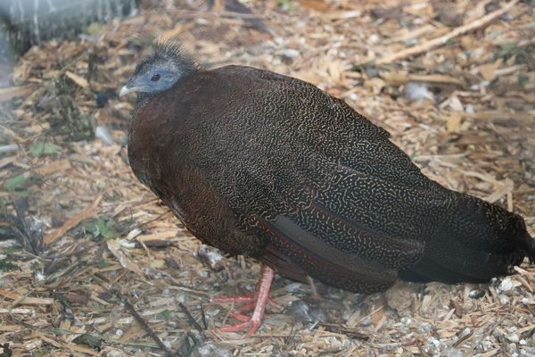 Vogelpark Olching, Kooperationspartner der Kindertafel