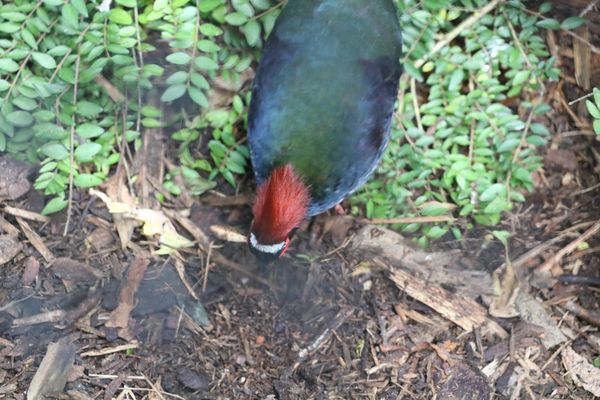 Vogelpark Olching, Kooperationspartner der Kindertafel