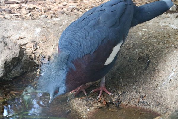 Vogelpark Olching, Kooperationspartner der Kindertafel