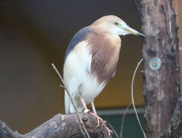 Vogelpark Olching, Kooperationspartner der Kindertafel