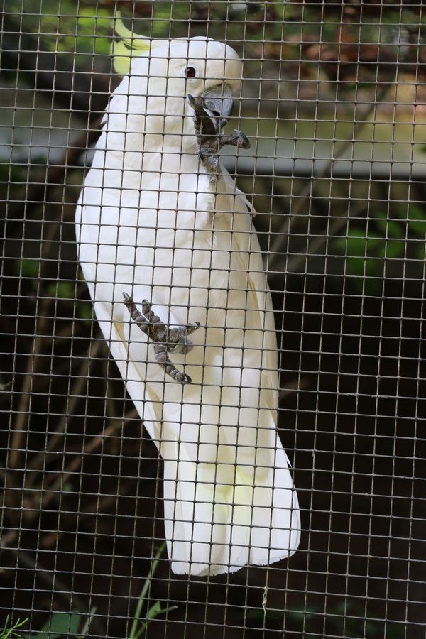 Vogelpark Olching, Kooperationspartner der Kindertafel