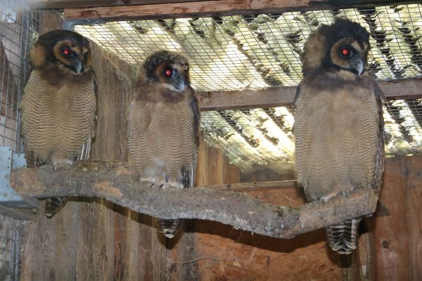 Vogelpark Olching, Kooperationspartner der Kindertafel