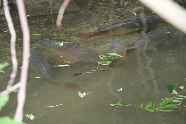 Vogelpark Olching, Kooperationspartner der Kindertafel