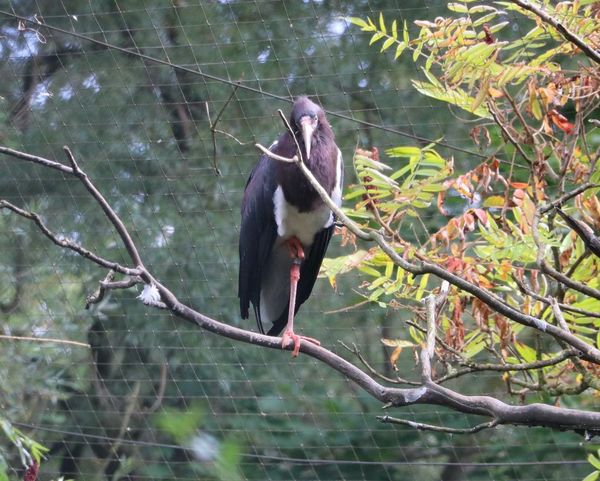 Vogelpark Olching, Kooperationspartner der Kindertafel