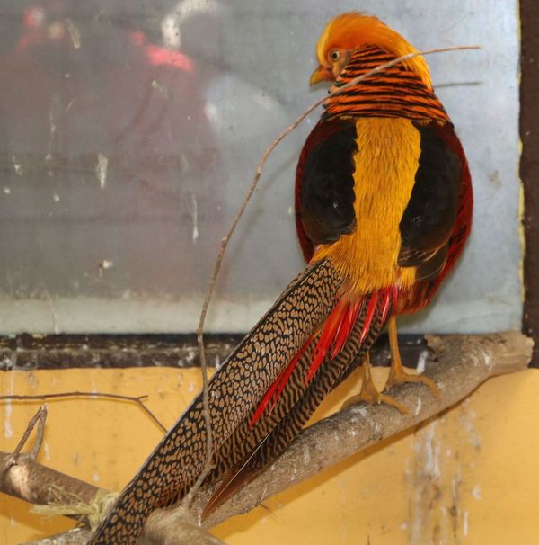 Vogelpark Olching, Kooperationspartner der Kindertafel