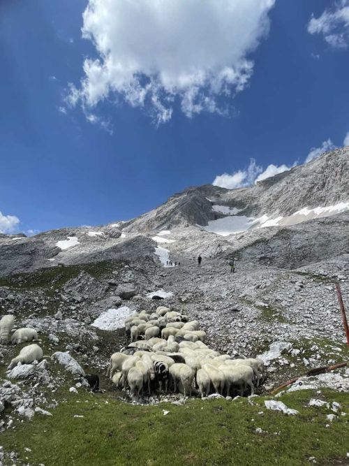 Wanderung zur Zugspitze einer Schulklasse