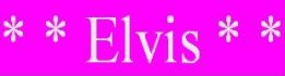 Heuboden, Solokünster Elvis tritt für die Kindertafel auf