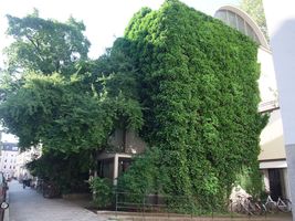 Herz-Jesu-Kloster-Kirche in der Buttermelcherstraße, näheres siehe Wikipedia