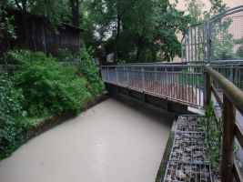 Der Max-Koch-Steg führt über den Westermühlbach bei der Pestalozzistraße hinter der Geyerbrücke