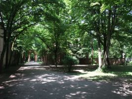 Alter Südfriedhof, Idyllischer Durchgang und Park zwischen altem und neuen Teil, näheres siehe Wikipedia