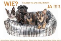 4-beiner feine Tiernahrung, Fachgeschäft 4-beiner feine Tiernahrung, Fachgeschäft