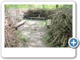 vp_180429_2536_Nest